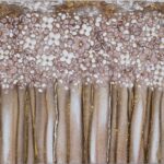 FINITURA VARIANTE TORTORA TORTORA CALDO ROSA ANTICO BIANCO E ORO CON FIORI E STELI MATERICI